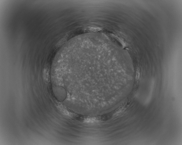 X0000082170177200702162310