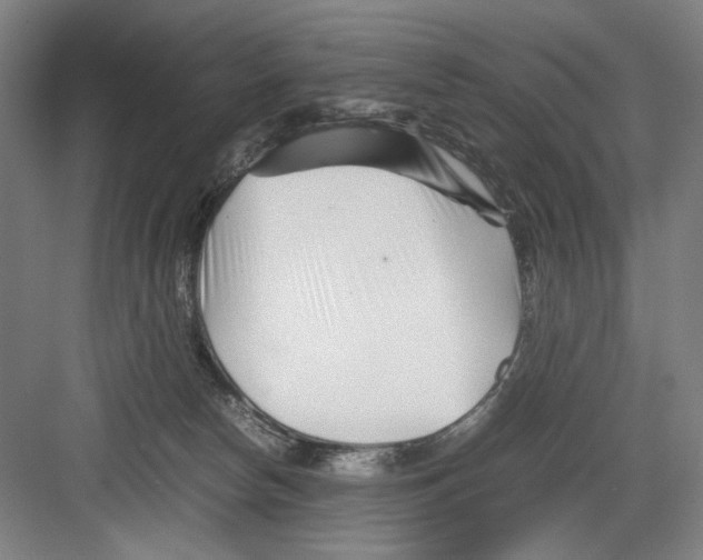 X0000082170178200702162310