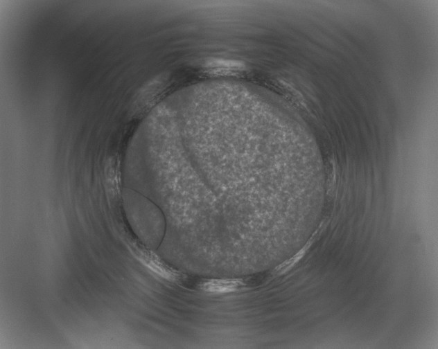 X0000082170179200702162310