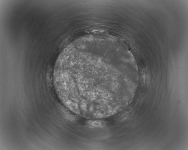 X0000082170181200702162310