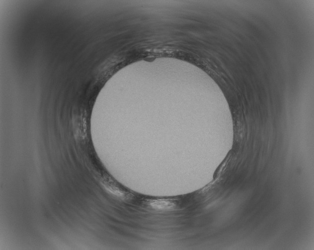 X0000082170183200702162310