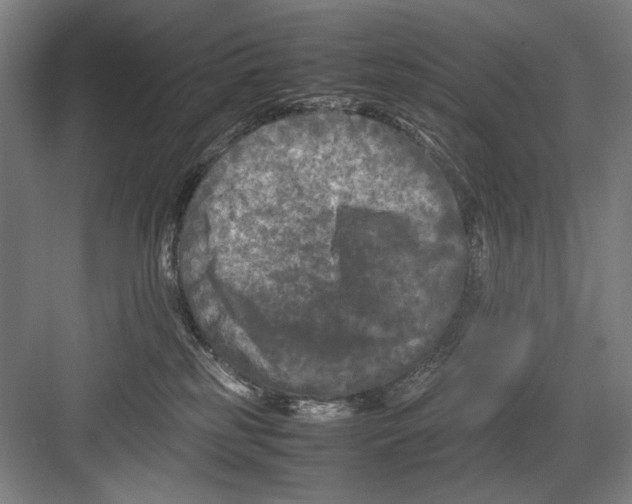 X0000082170185200702162310