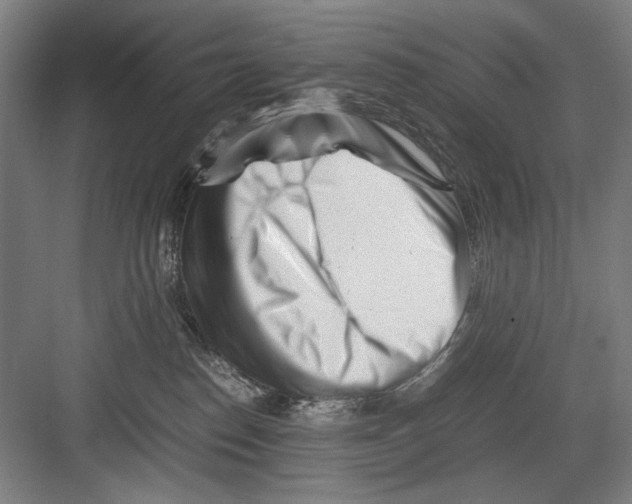 X0000082170186200702162310