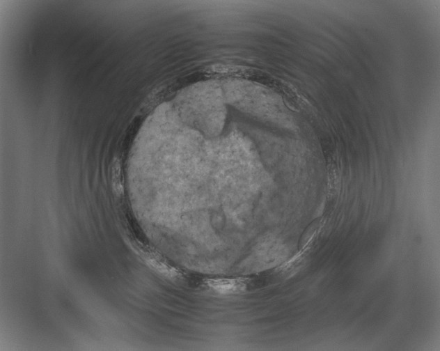 X0000082170187200702162310