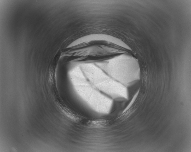 X0000082170188200702162310