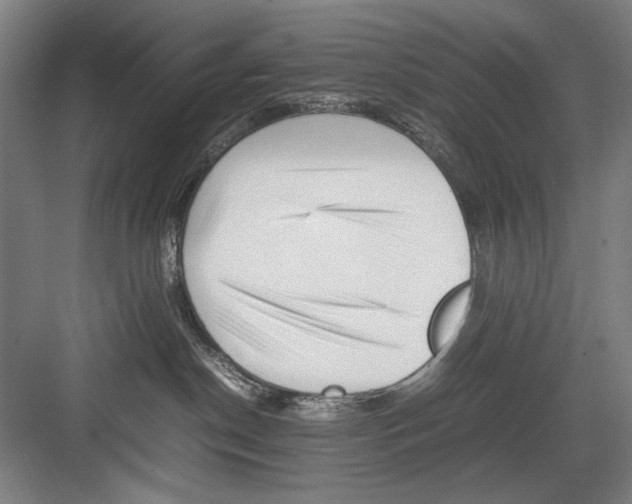 X0000082170190200702162310