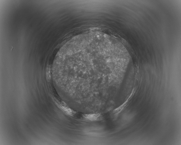 X0000082170191200702162310