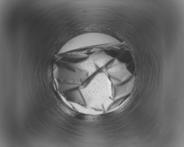 X0000082170192200702162310