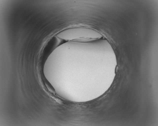 X0000082170193200702162309