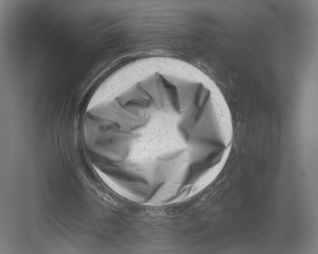 X0000082170194200702162309