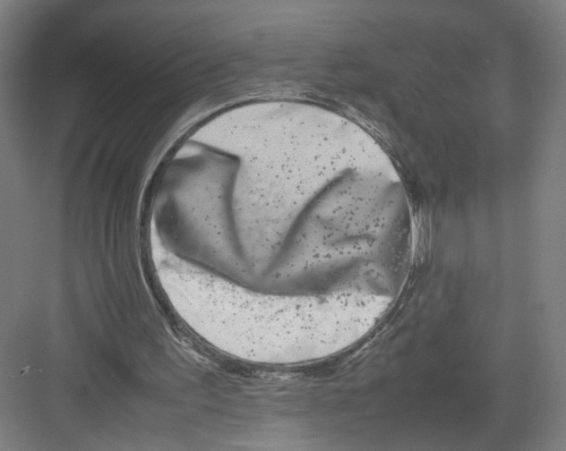 X0000082170195200702162309