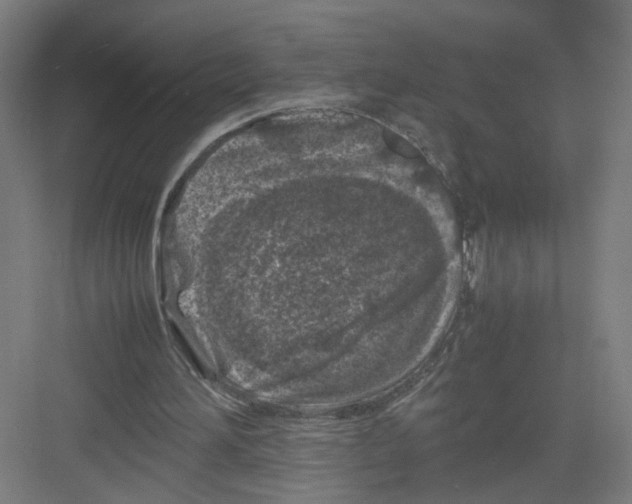 X0000082170196200702162309