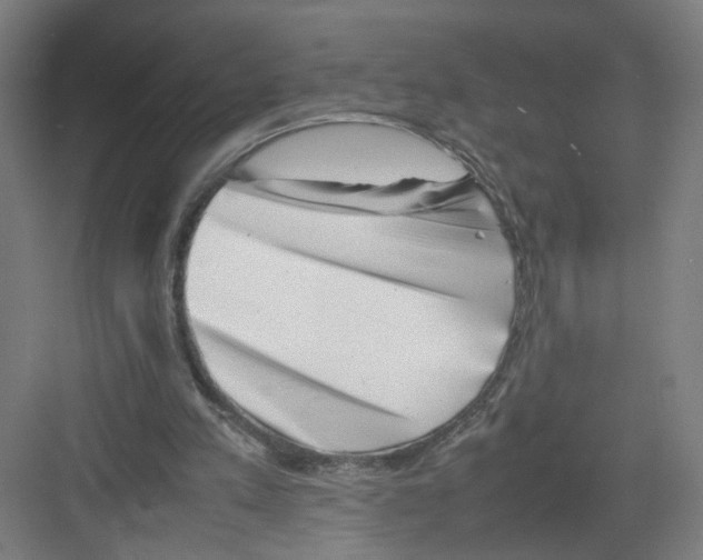 X0000082170197200702162309