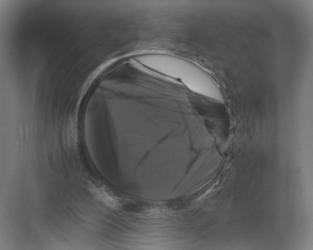 X0000082170200200702162309