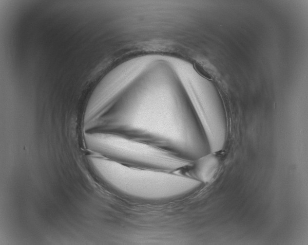 X0000082170201200702162309