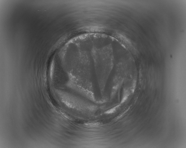 X0000082170202200702162309