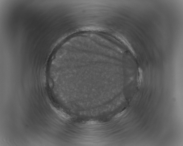 X0000082170204200702162309