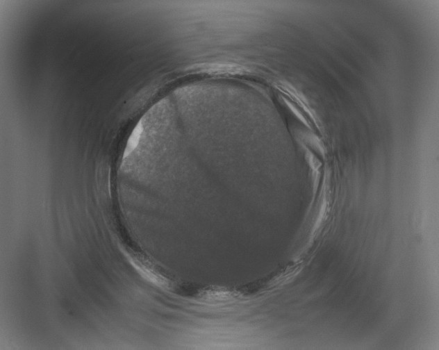 X0000082170205200702162309