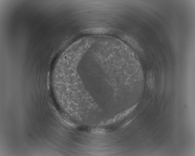 X0000082170206200702162309