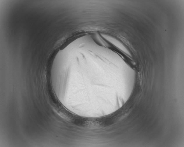 X0000082170207200702162309