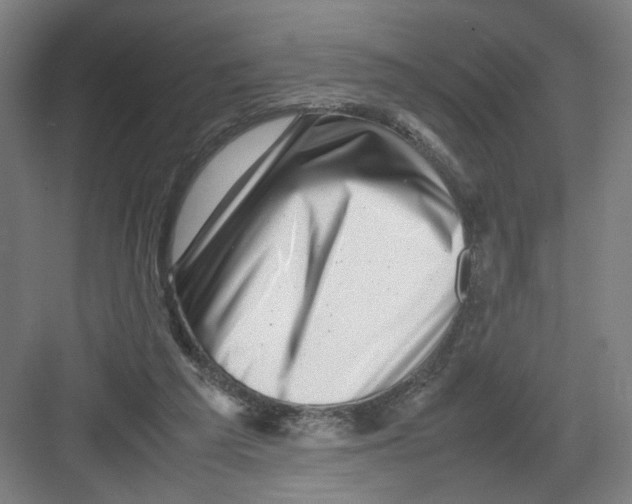 X0000082170209200702162309