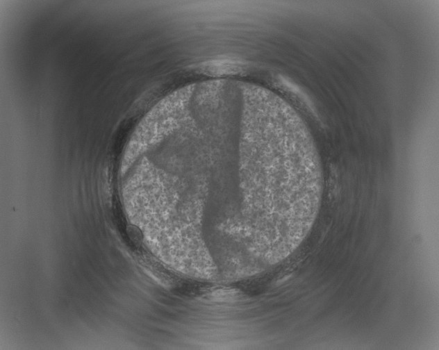 X0000082170210200702162309