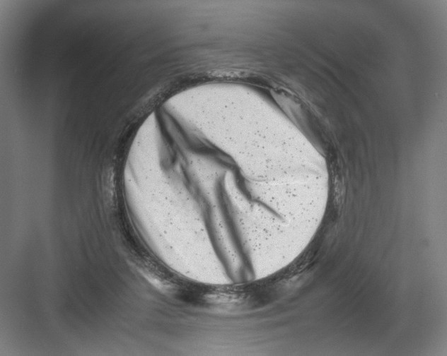 X0000082170211200702162309