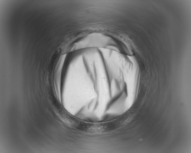 X0000082170213200702162309