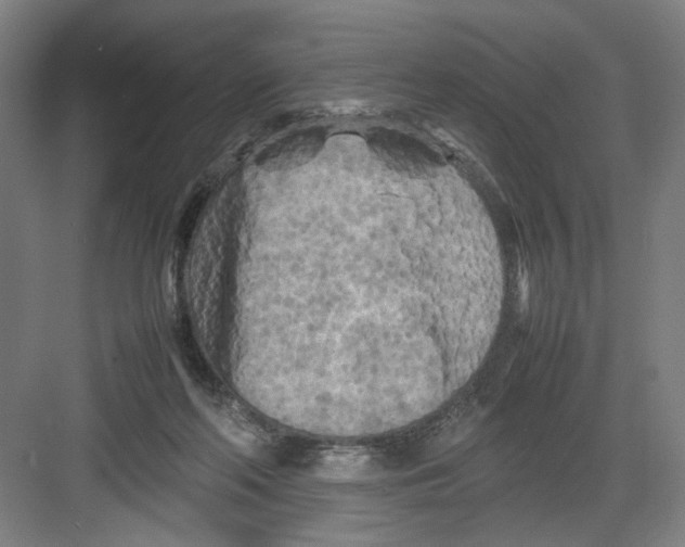 X0000082170214200702162309