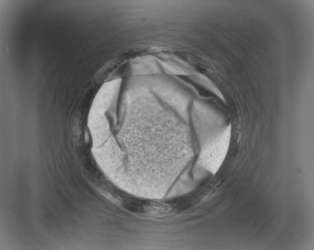 X0000082170215200702162309