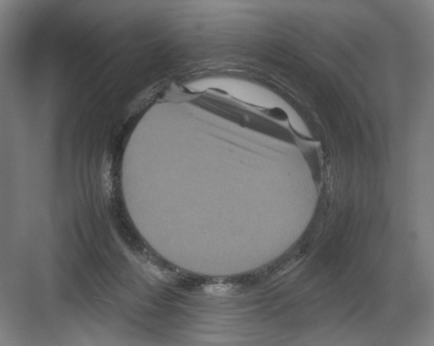 X0000082170216200702162309