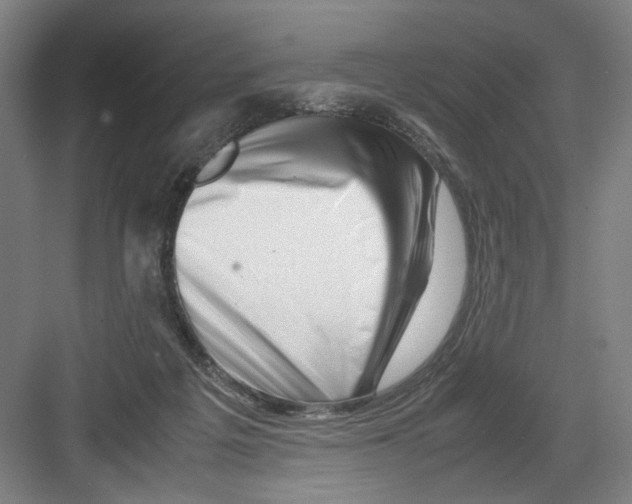 X0000082170217200702162309