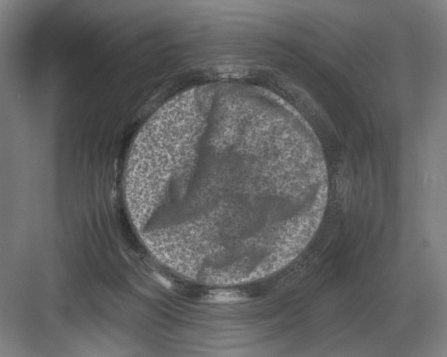 X0000082170218200702162309