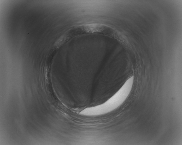 X0000082170219200702162309