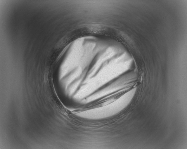 X0000082170221200702162309