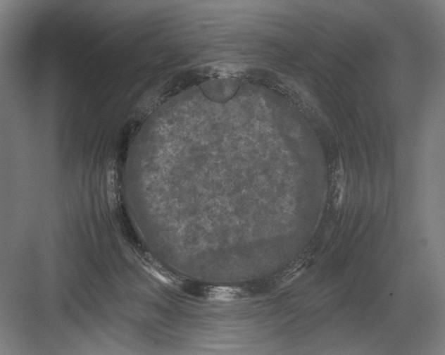 X0000082170222200702162309