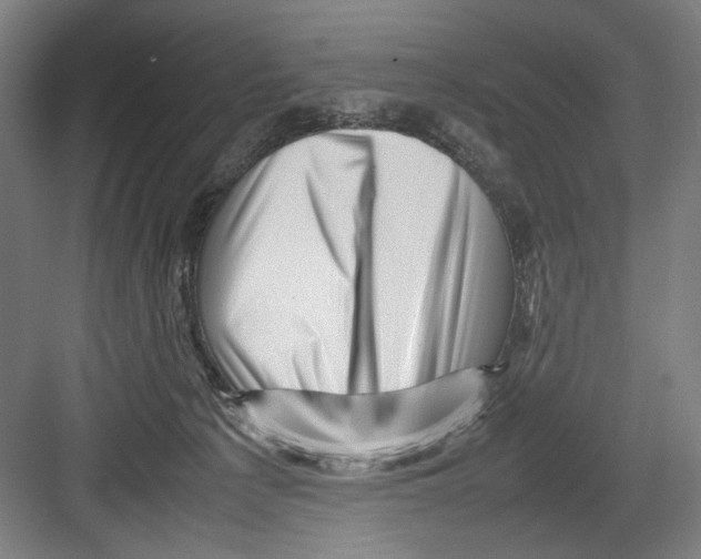 X0000082170225200702162309