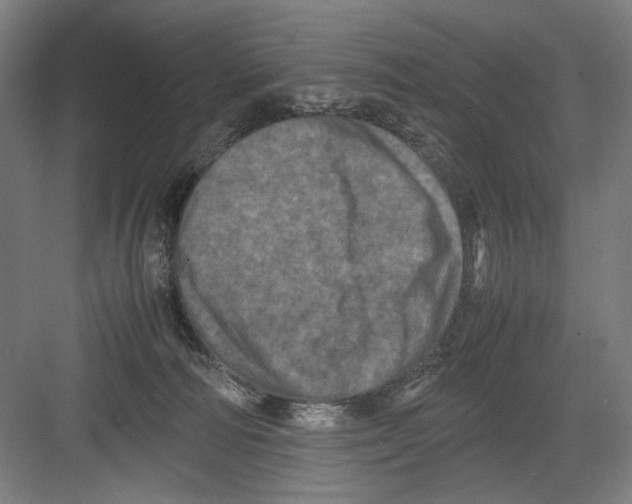 X0000082170226200702162309