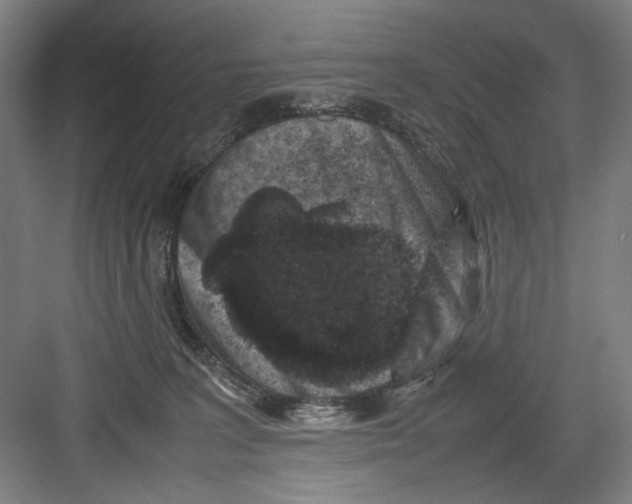 X0000082170227200702162309