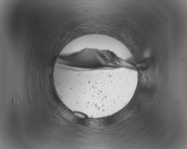 X0000082170229200702162309