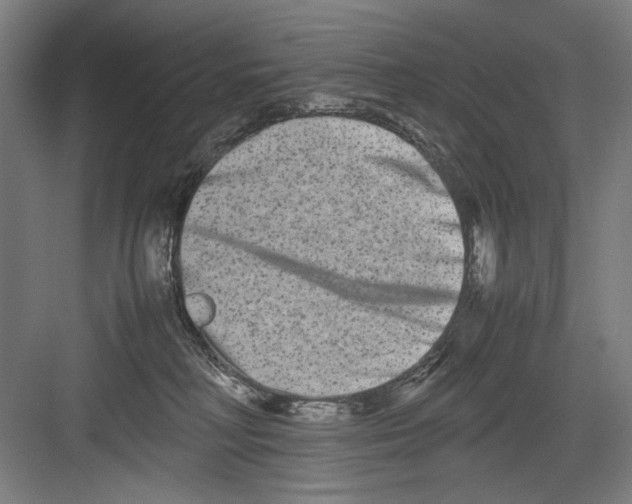 X0000082170230200702162309