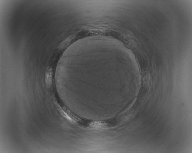 X0000082170231200702162309