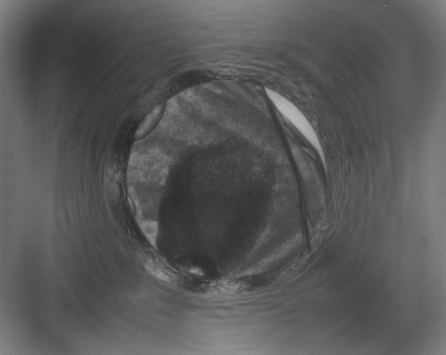 X0000082170235200702162309