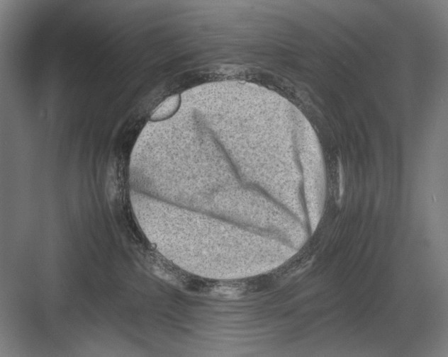 X0000082170236200702162309