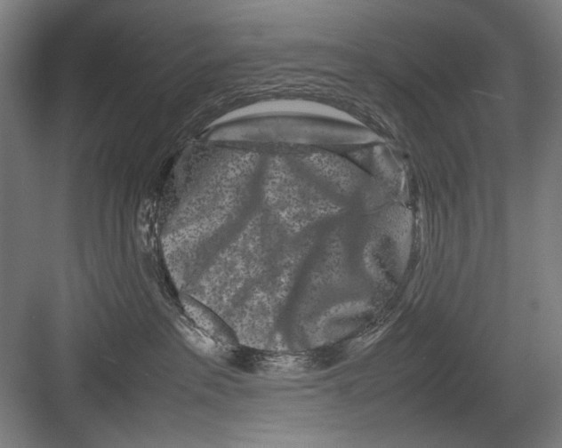 X0000082170237200702162309