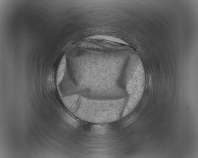 X0000082170238200702162309