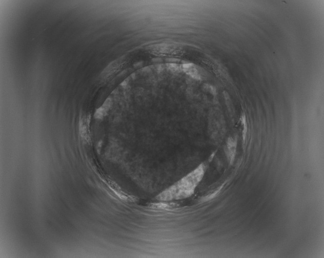 X0000082170239200702162309