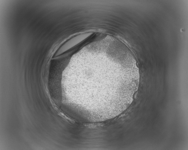 X0000082170241200702162308