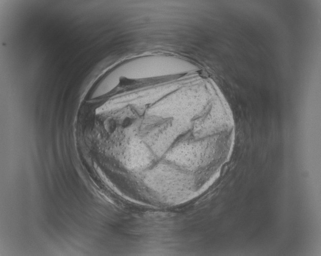 X0000082170242200702162308