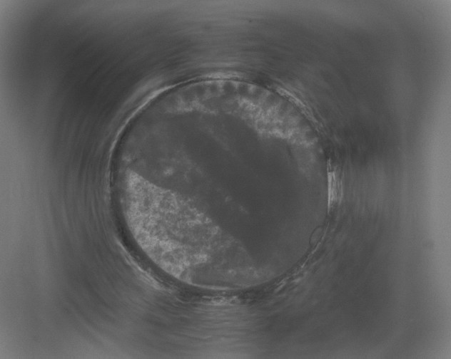 X0000082170243200702162308